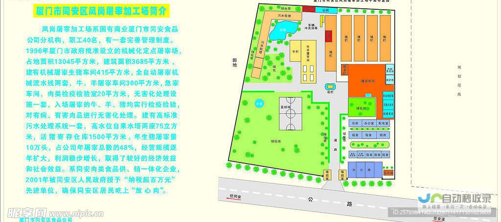 凤岗网站设计：打造您的专属线上形象，助您在凤岗市场脱颖而出