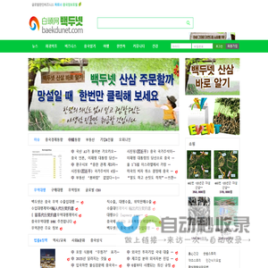 백두넷